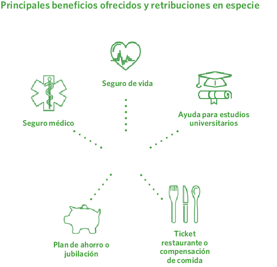Principales beneficios ofrecidos y retribuciones en especie