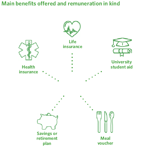 Principales beneficios ofrecidos y retribuciones en especie