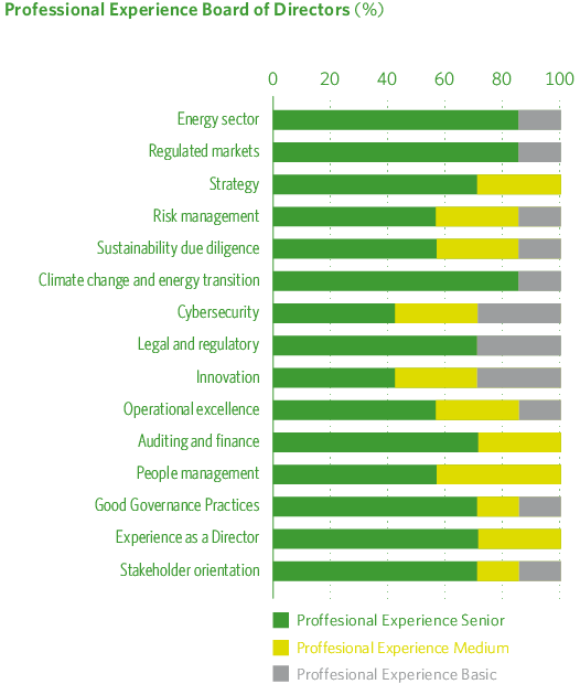 Experiencia profesional del Consejo de Administración
